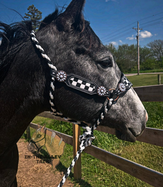 Custom tooled halter with cheeks