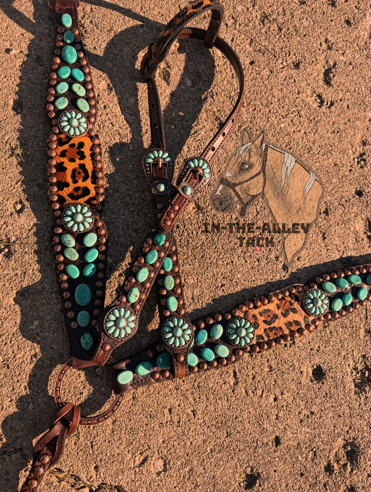 PRE ORDER - turquoise leopard set