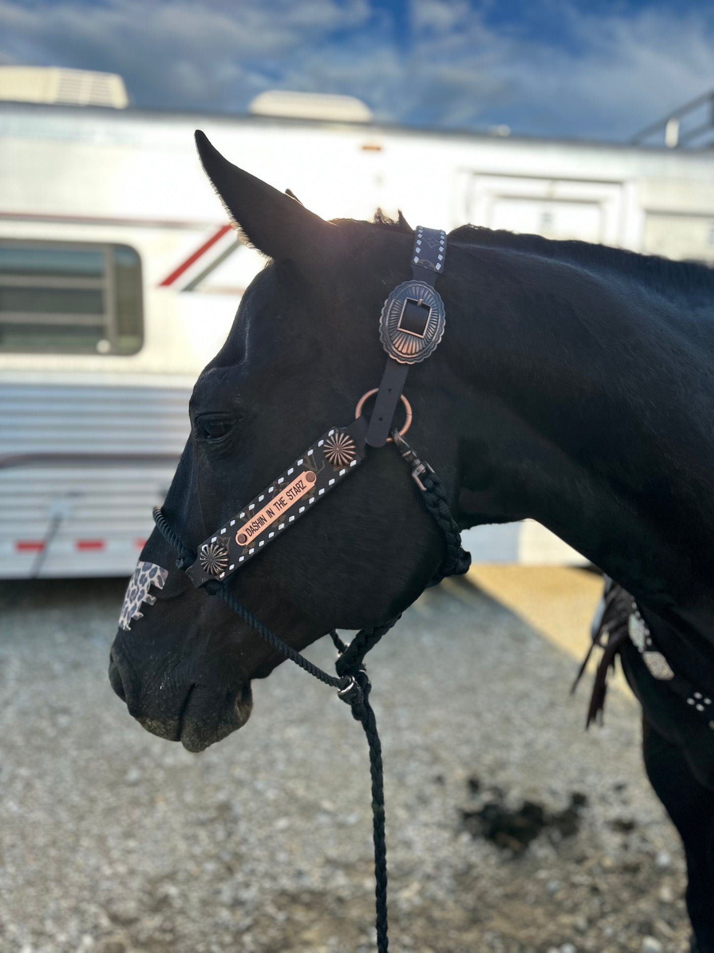 Name plate halter