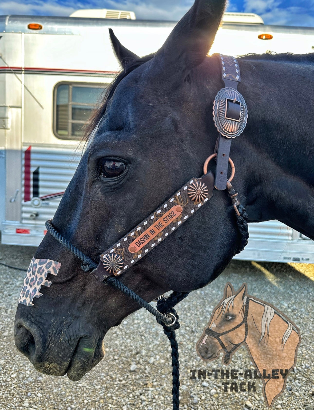 Name plate halter