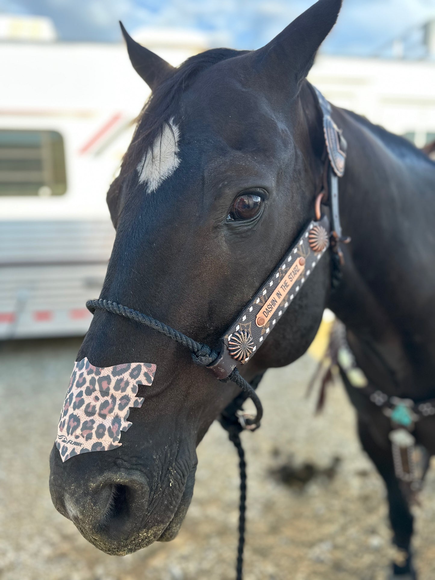 Name plate halter