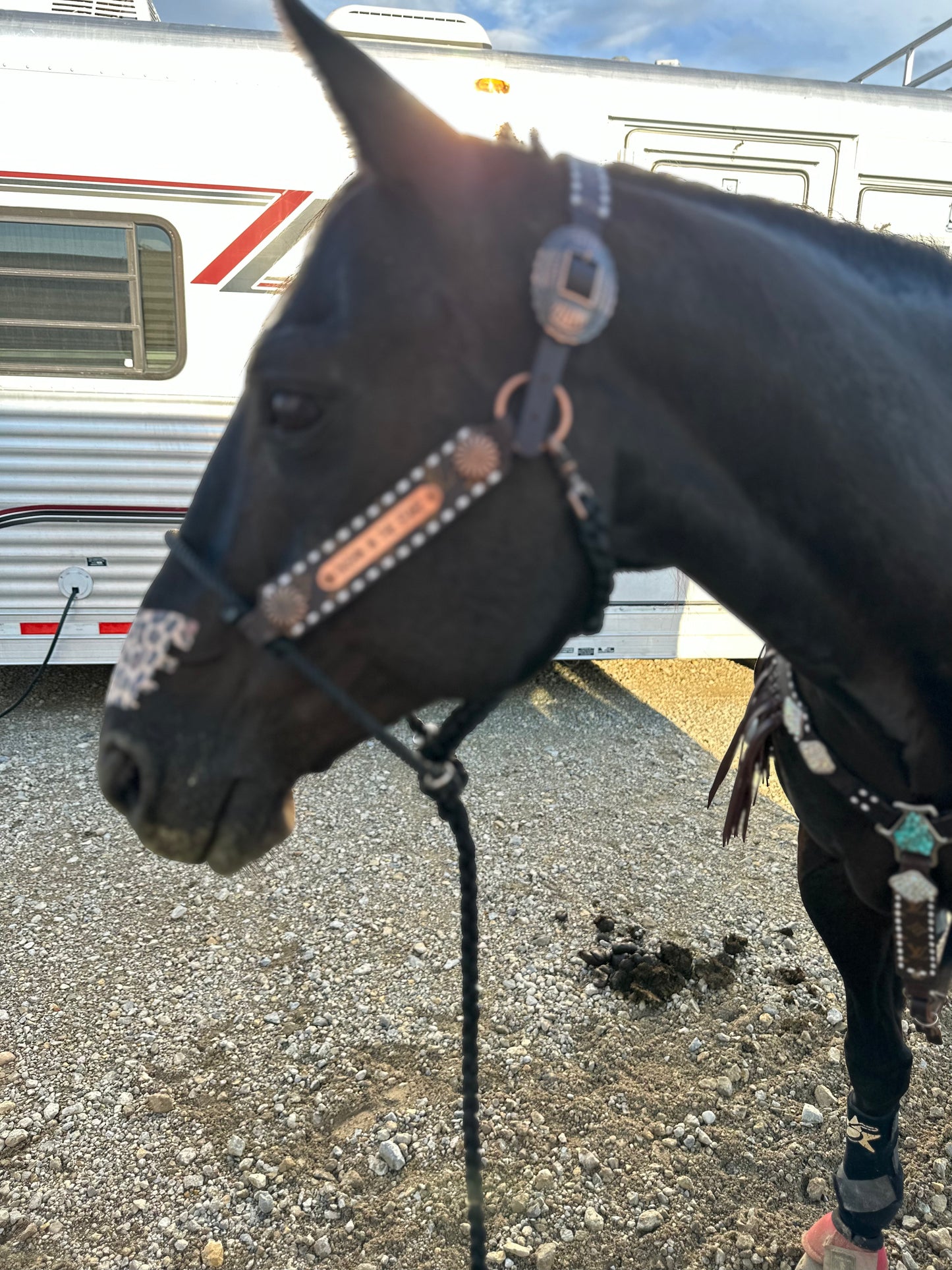 Name plate halter